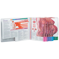 With Child Large-size Spiral bound Charts