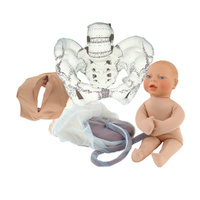 Cloth Pelvic Model Set