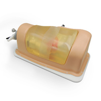 Hip Labrum Access and Repair Trainer