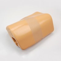 Hip Labrum Replacement Opaque Skin