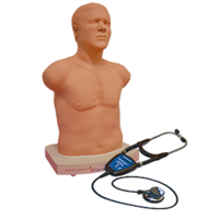 SAM Basic - Affordable Adult Auscultation Manikin, Light Skin 