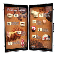 Smokeless Tobacco Consequences 3D Display