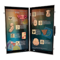 The Consequences of STDs  3D Display