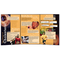 The Basics of Cholesterol Folding Display