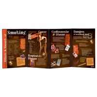 Effects & Hazards of Smoking Folding Display