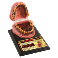 Mr Gross Mouth