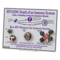 HIV/AIDS: Death of an Immune System Easel Display