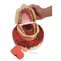 Smoker's Foul Mouth Display