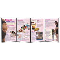 Hazards During Pregnancy Folding Display