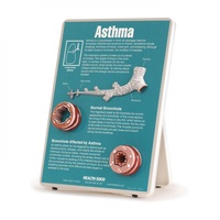 Asthma Easel Display