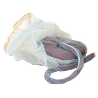 Placenta/Cord/Amnion/Chorion Model