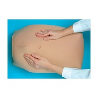 Abdominal Palpation Model
