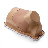 VATS Trainer with Mimetic Lung