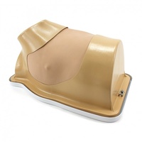 VATS Trainer for Explant Left-Side