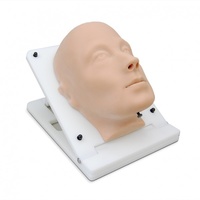 Maxillary Sinus Trainer
