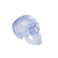 Anatomical Model- Transparent Classic Human Skull Model, 3 part