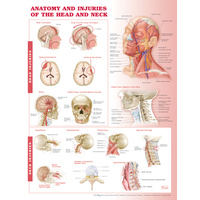Anatomical Injuries of the Head & Neck Chart