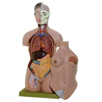 FEMALE TORSO WITH HEAD