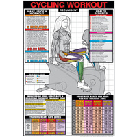 Cycling Workout Recumbent - Cardio