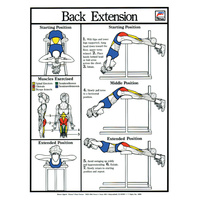 Back Extension