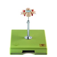 CERVICAL VERT (C VI) W S/CORD