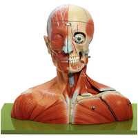 HEAD AND NECK