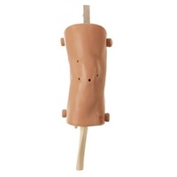 CLA Knee Joint Arthroscopy Simulator