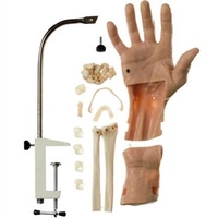 CLA Arthroscopic Simulators Of The Wrist