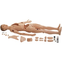 CLA Basic Nursing Skills Manikin