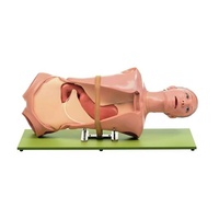 CLA OGI Medical Training Manikin