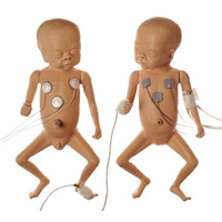 Babycare Simulator- Premature Infant Baby, Male