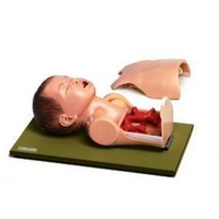Broncho-Boy Junior Anesthesiology Trainer