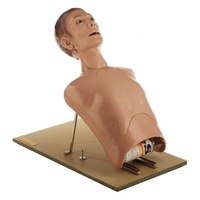 Bronchoscopy Model - Broncho Boy