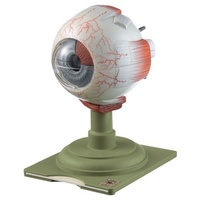 Eyeball