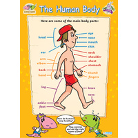 Early Learning School Poster-  The Human Body