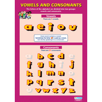 English school Poster - Vowels and Consonants