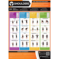  Gym and Fitness Chart -Shoulders (L)