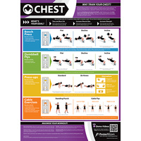  Gym and Fitness Chart -Chest (L)