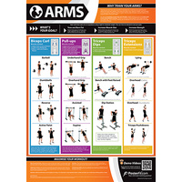  Gym and Fitness Chart - Arms (L)