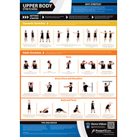  Gym and Fitness Chart - Upper Body - Stretching (L)
