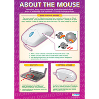 About the Mouse