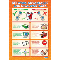 Network Advantages and Disadvantages