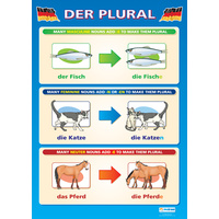 Modern Language School Poster-  Der Plural