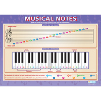Music Schools Charts- Musical Notes