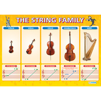 Music Schools Charts - The String Family