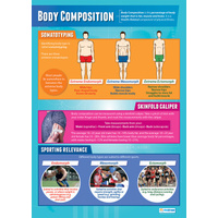 Physical Education School Poster-  Body Composition