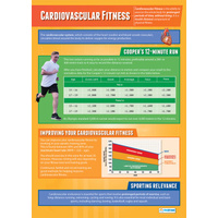  Physical Education School Poster-  Cardio-vascular Endurance
