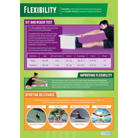  Physical Education School Poster-  Flexibility