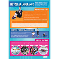 Physical Education School Poster-  Muscular Endurance