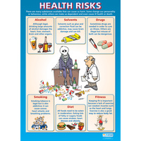 Personal, Social and Health Schools Posters - Health Risks